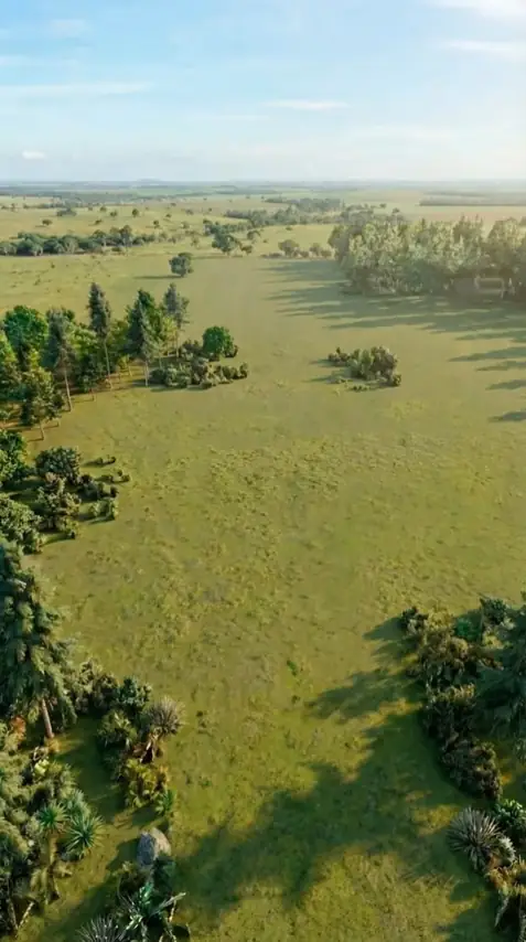 Village Park